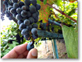 2012-09-11_17-35-37