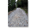 2012-09-11_19-35-28