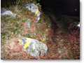 2012-09-11_23-11-20