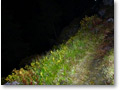 2012-09-11_23-26-03