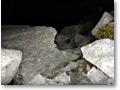 2012-09-11_23-27-55