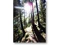 2012-09-14_15-33-35
