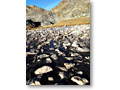2012-09-14_08-07-26