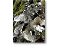2012-09-14_08-16-16