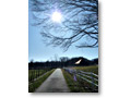 2009-11-07_12-57-58