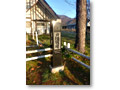 2009-11-07_06-58-00