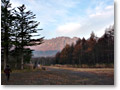 2009-11-08_06-39-46