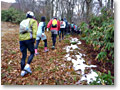 2009-11-08_07-11-03