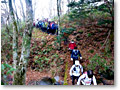 2009-11-08_07-15-19