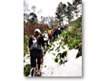 2009-11-08_07-26-49