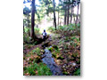 2009-11-08_07-58-33