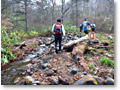 2009-11-08_08-05-49