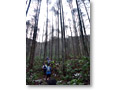 2009-11-08_08-07-47