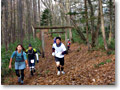 2009-11-08_08-11-50
