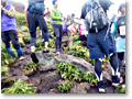 2009-11-08_08-44-20
