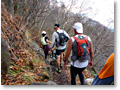 2009-11-08_08-54-43