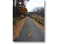 2009-11-08_09-11-06
