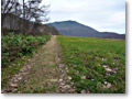 2009-11-08_11-07-27