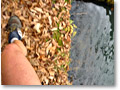 2009-11-08_12-08-50
