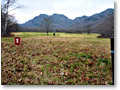2009-11-08_12-24-28