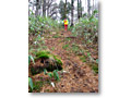 2009-11-08_13-22-45