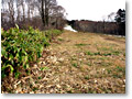 2009-11-08_13-33-22