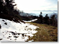2009-11-08_13-46-24