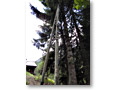 2010-08-30_17-32-26