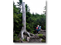 2008-08-09_11-53-19