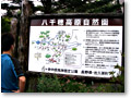 2008-08-09_10-11-13