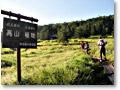 2008-08-10_06-54-47