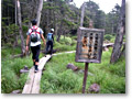 2008-08-09_10-52-01