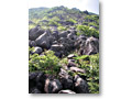 2008-08-10_09-26-27