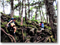 2008-08-10_11-15-44