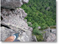 2008-08-10_11-21-54