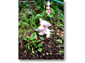 2008-08-10_12-34-54